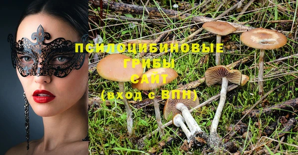 спайс Алексин