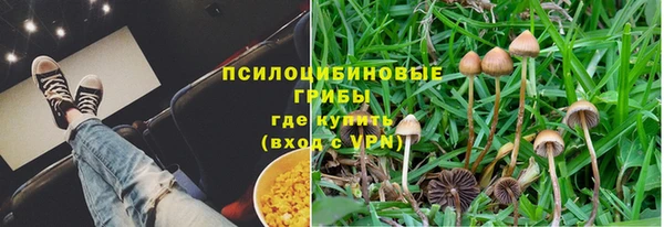 спайс Алексин